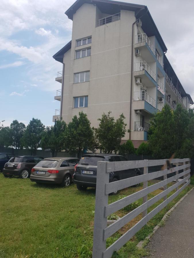 Pensiunea Andra 3* Costinesti